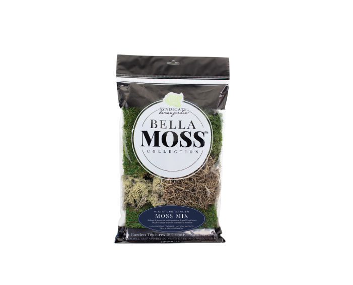 Syndicate Mini Moss Kit