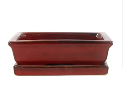 8" Bonsai Indoor Planter with Saucer