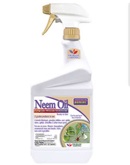 Captain Jacks Neem Oil