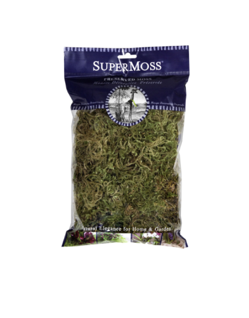Dried Forest Moss