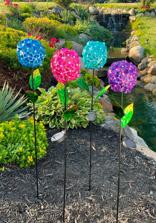 Glowing Hydrangea