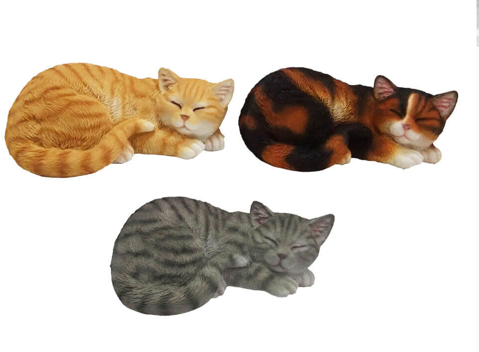 Sleeping Cat