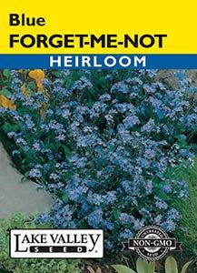 FORGET-ME-NOT BLUE HEIRLOOM