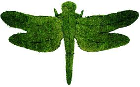 Dragonfly Topiar - Emerald Green Arb