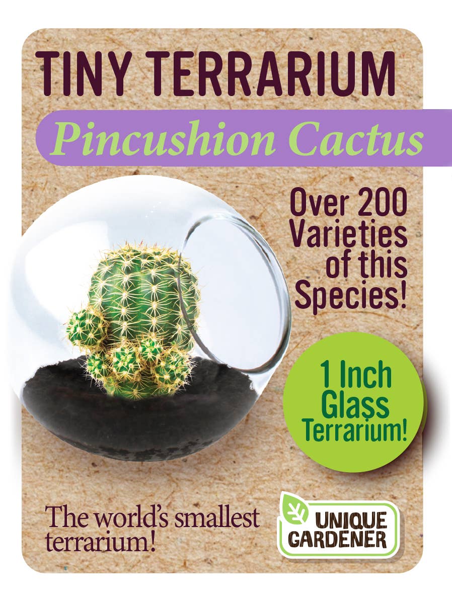 Tiny Terrarium Cactus