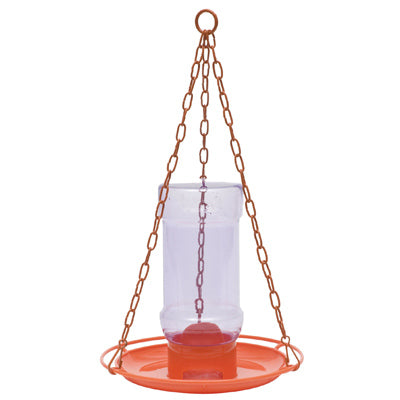 Oriole Jelly Feeder