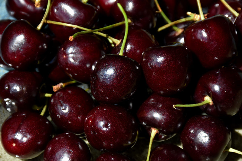 Cherry - Sam