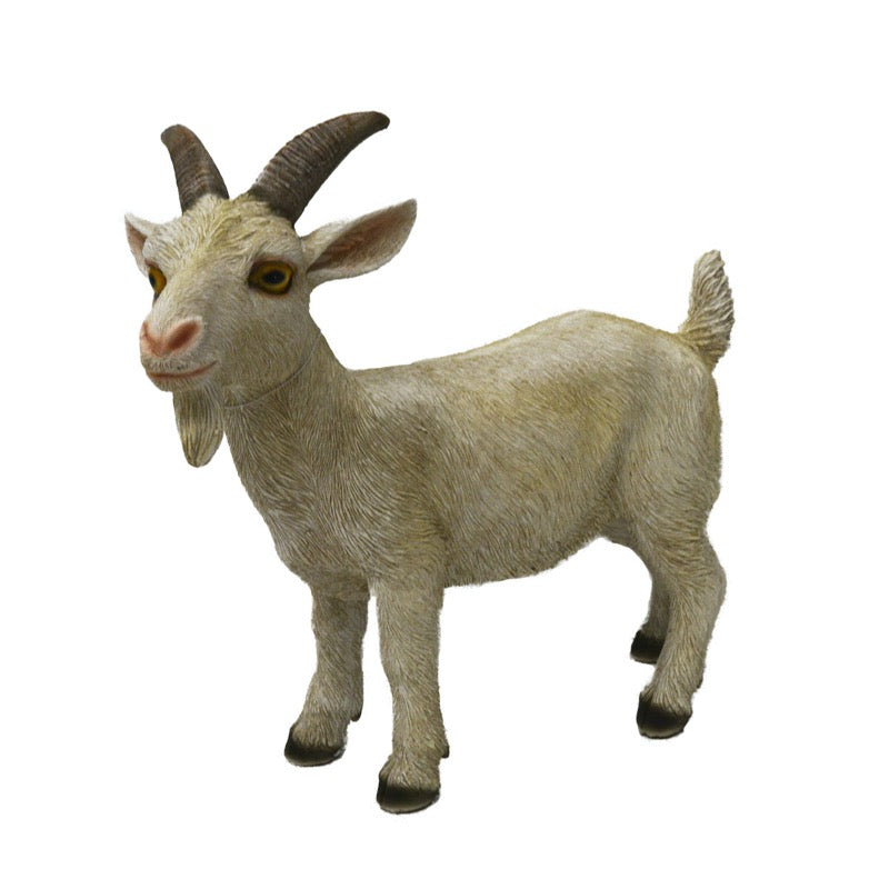 Medium Poly Goat