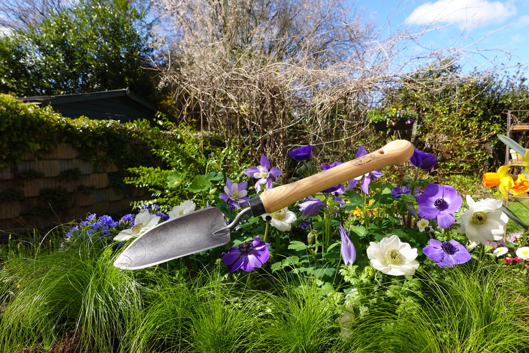 DeWit Trowel - Midsize Handle -Ship Only