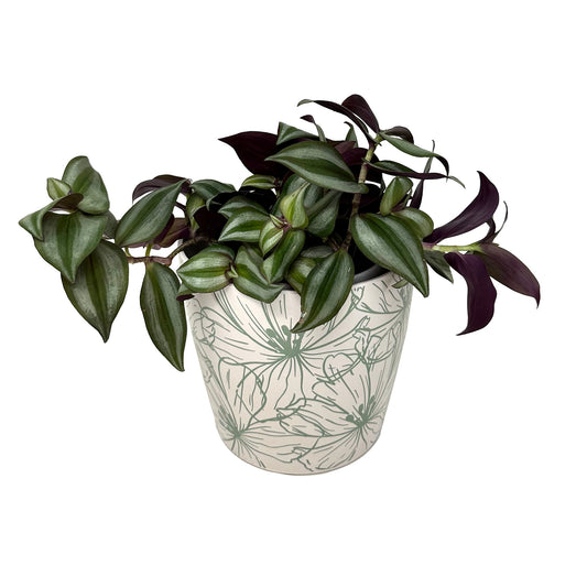 7" Green Flower Round Self-Watering Bamboo Pot -Ship Only
