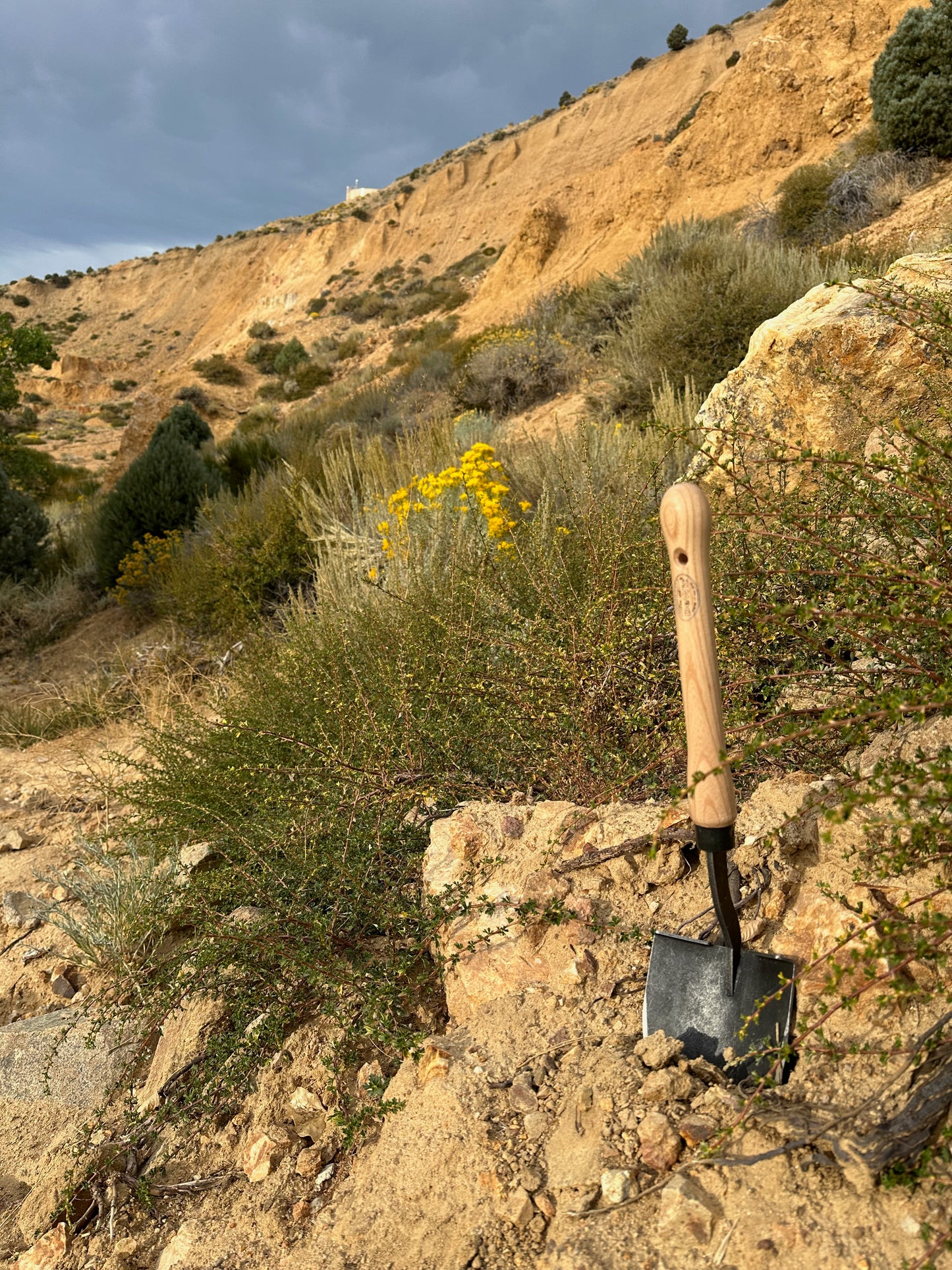DeWit Shovel - American with 10" Handgrip -Ship Only