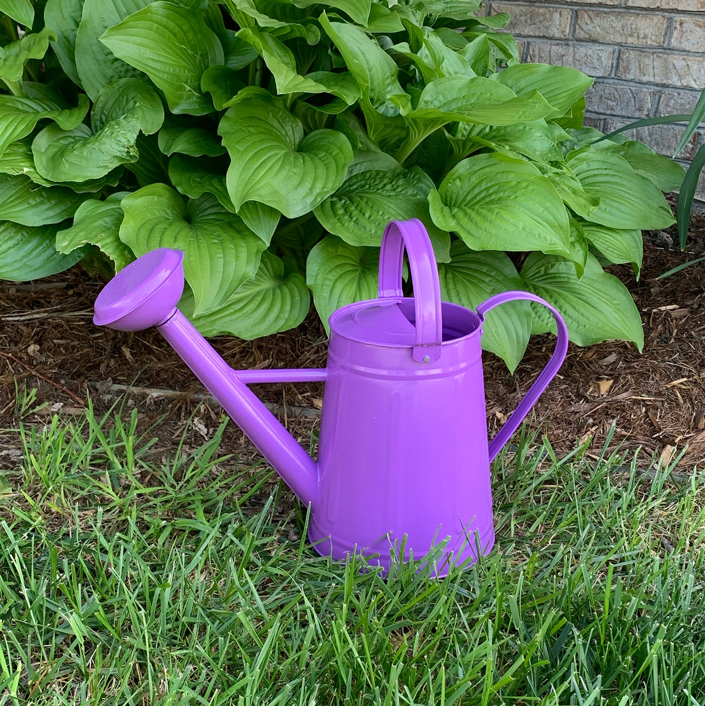 1.2 gal Violet Metal Watering Can -Ship Only