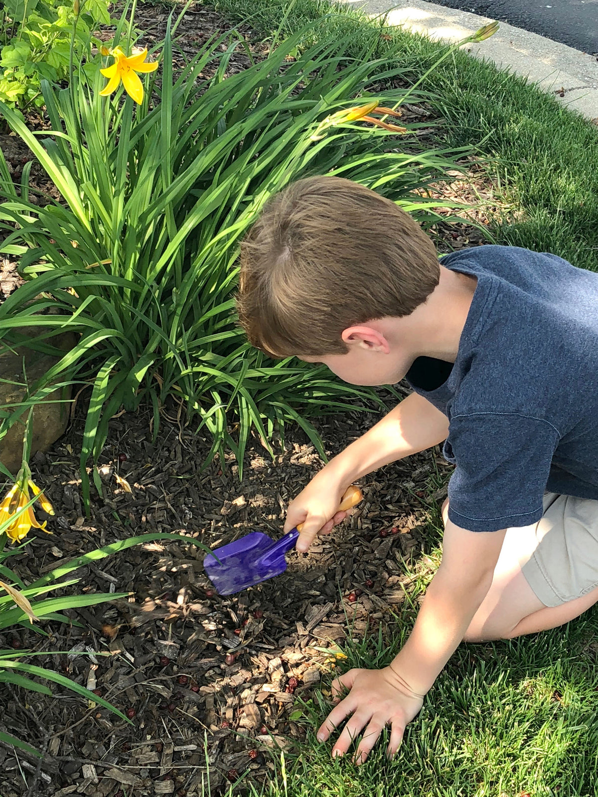 Small Kids Square Trowel -Ship Only