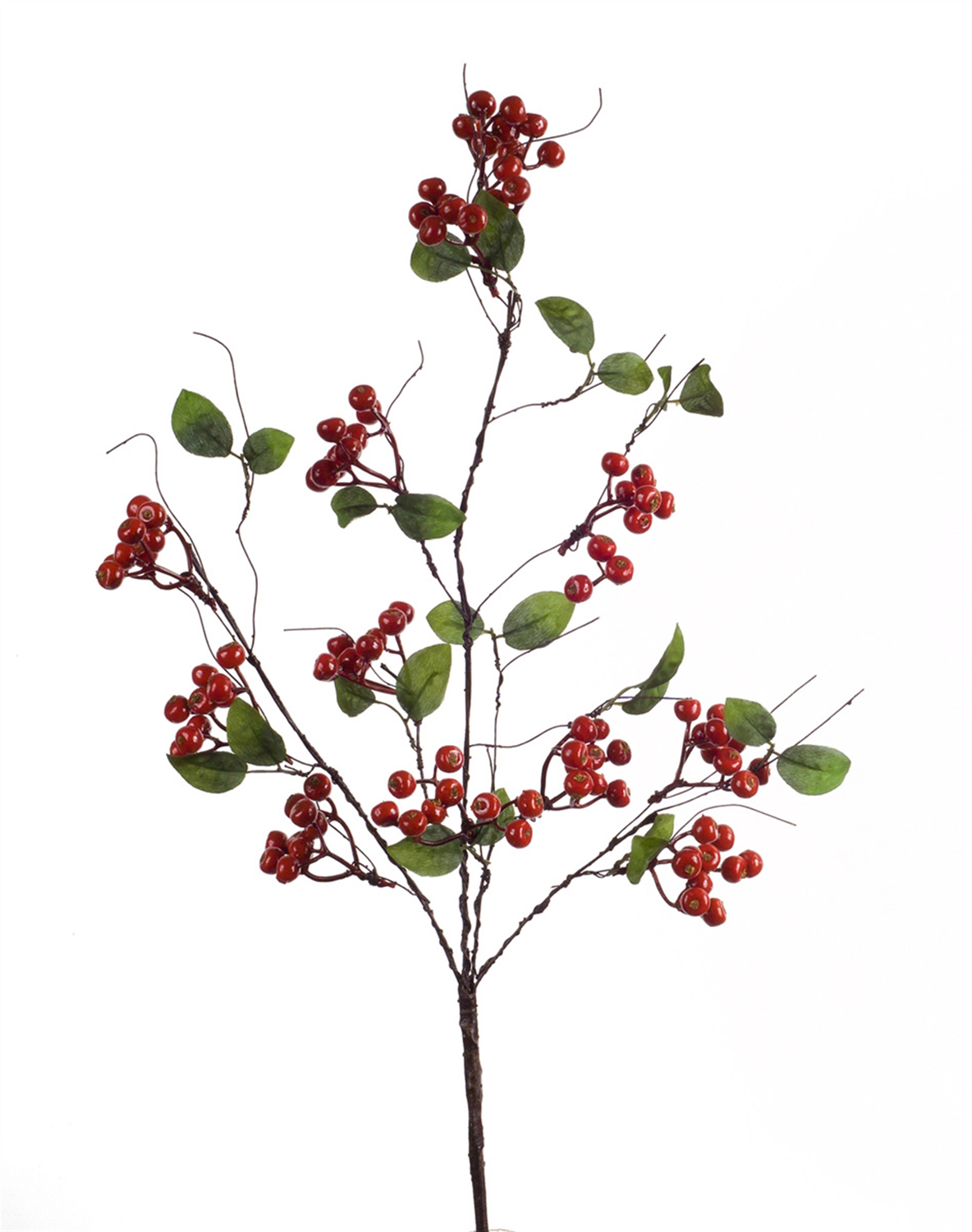 Boxwood Berry Twig Spray (Set of 12) -Ship Only