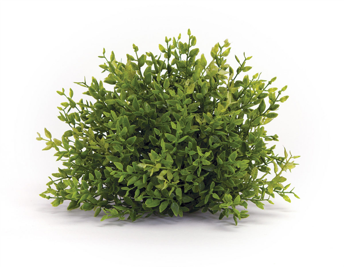 Spring Mini Leaf Foliage Half Orb (Set of 6) -Ship Only