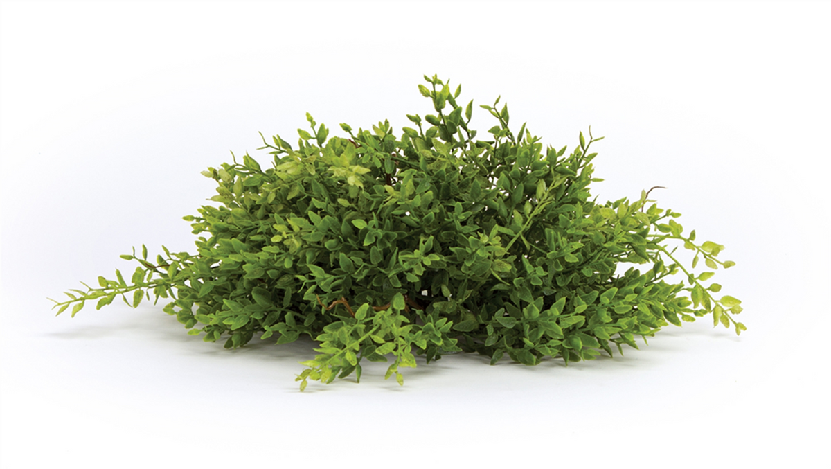 Spring Mini Leaf Foliage Half Orb (Set of 6) -Ship Only