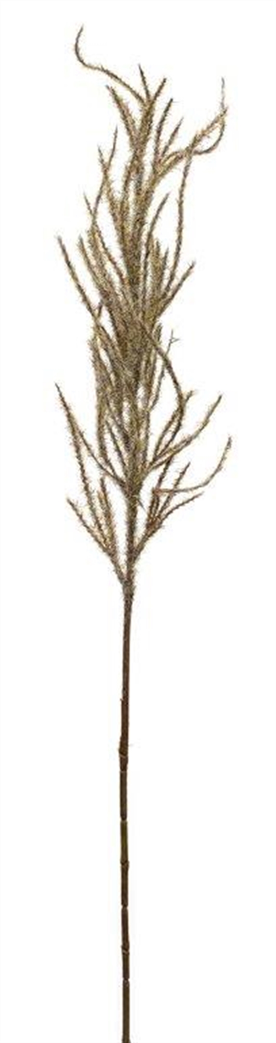 Flocked Beige Pampas Grass Spray (Set of 4) -Ship Only
