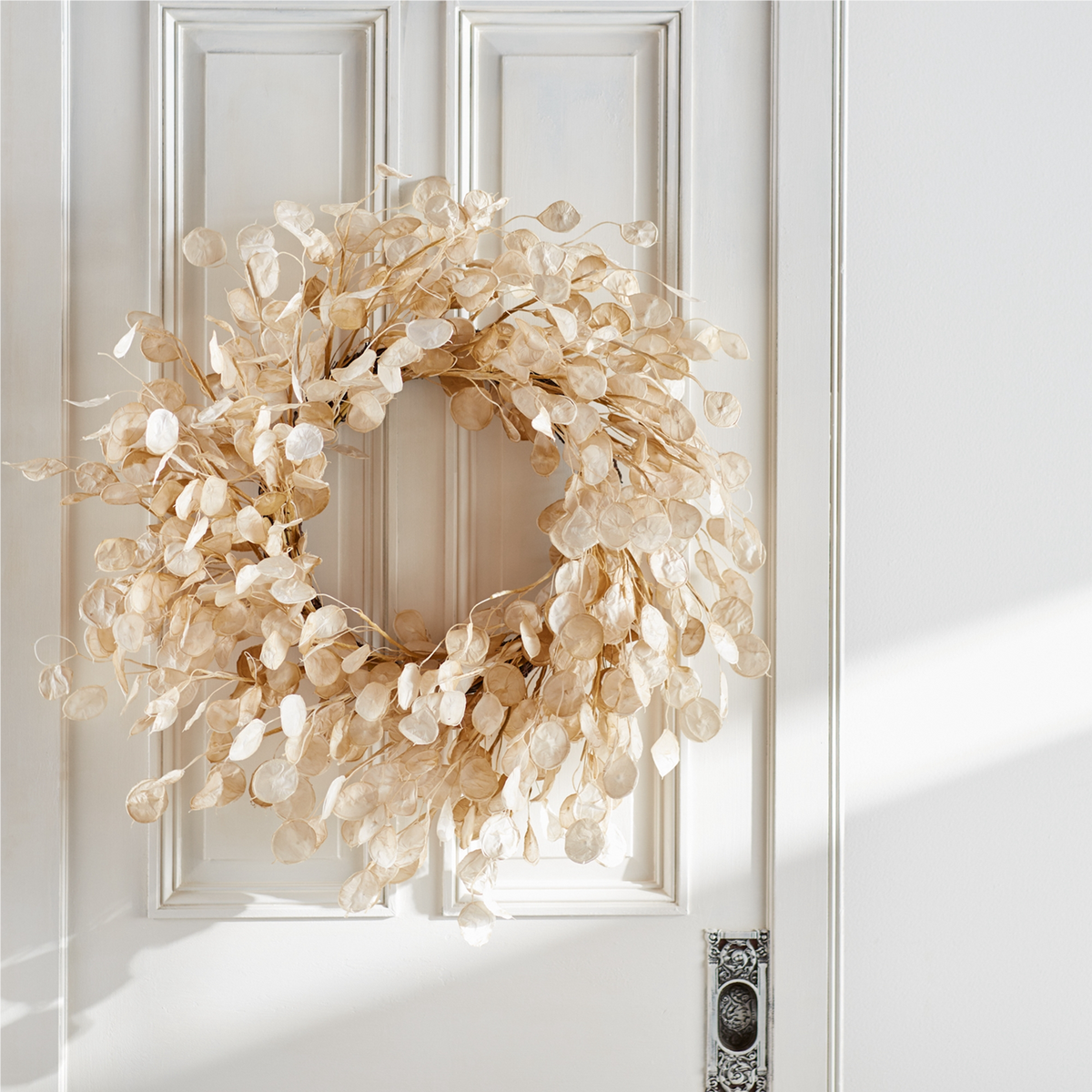 Silver Dollar Eucalyptus Wreath 33"D -Ship Only