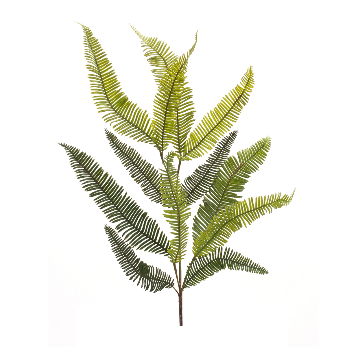 Fern Spray (Set of 6) 39”H Plastic -Ship Only