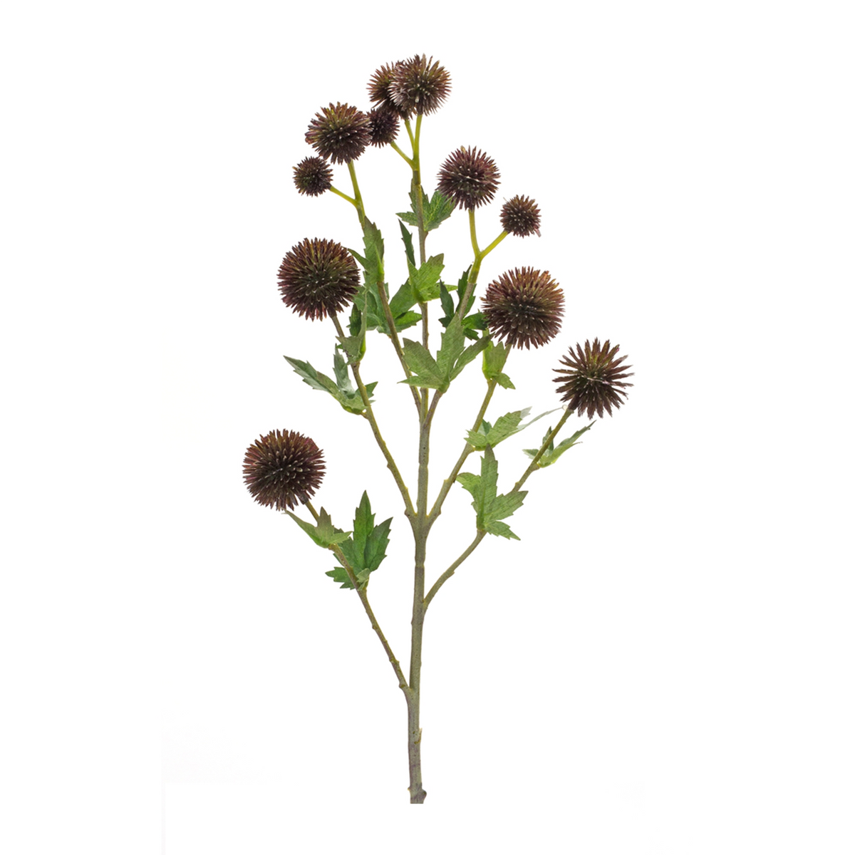 Allium Spray (Set of 6) 26”H Plastic/Polyester -Ship Only