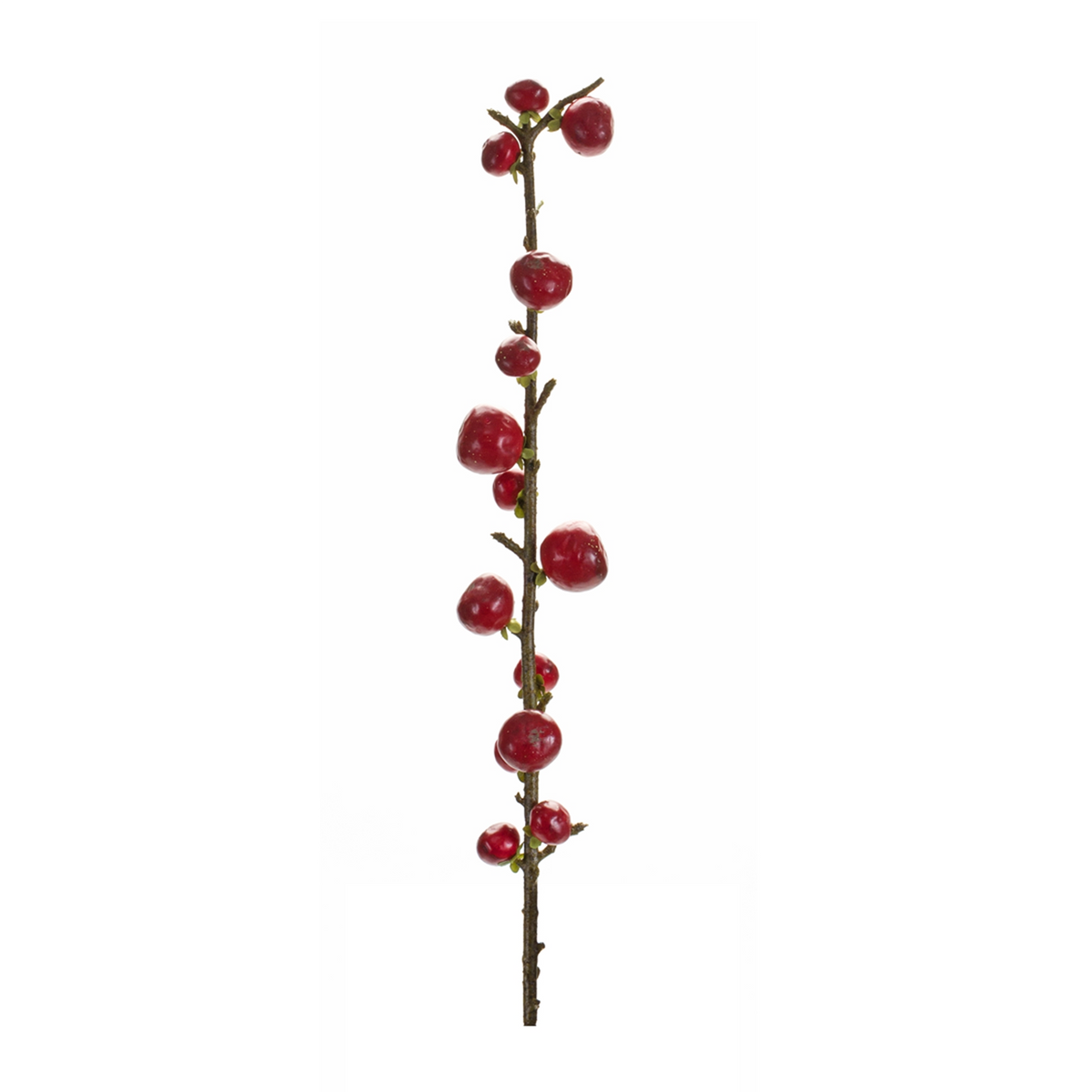 Red Berry Twig Stem (Set of 6) -Ship Only