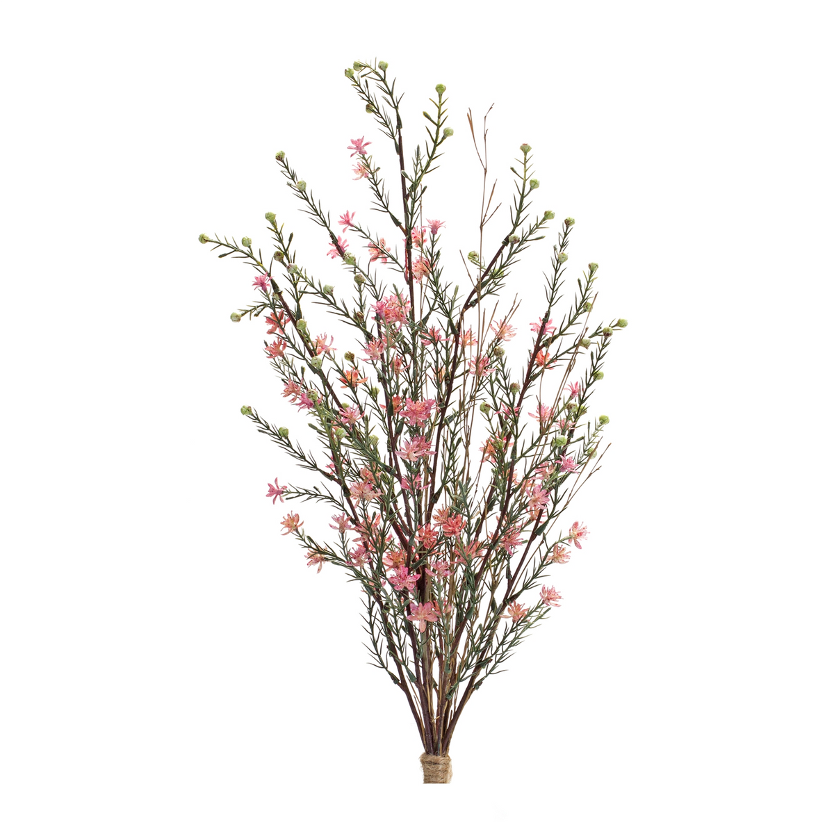 Leptospermum Bundle (Set of 6) 26.25”H Plastic -Ship Only