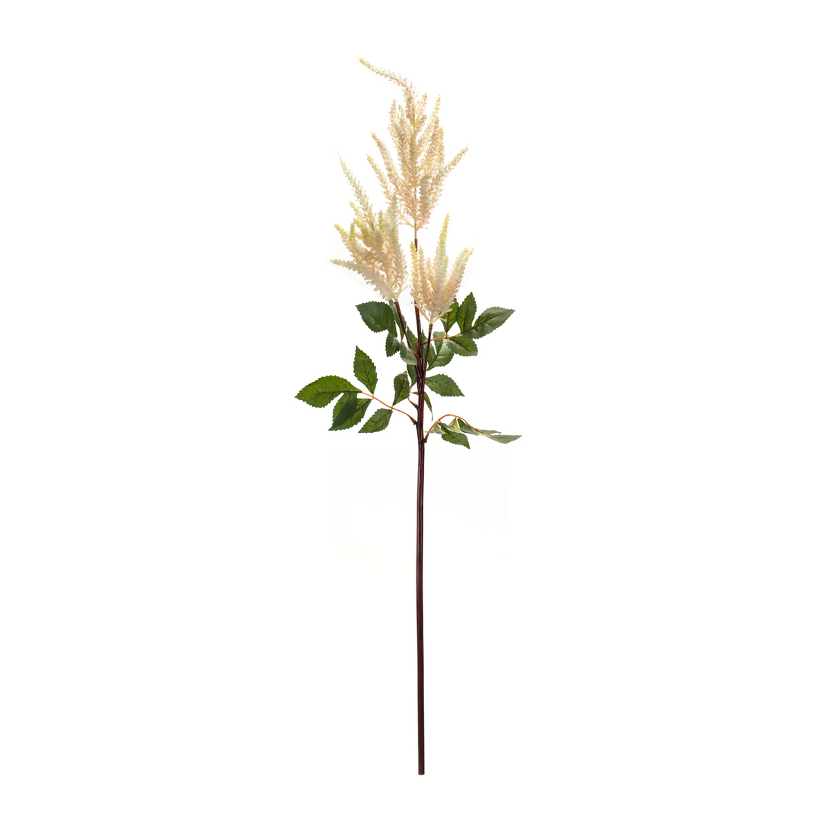 Astilbe Spray (Set of 4) 39"H Plastic/Flocking -Ship Only