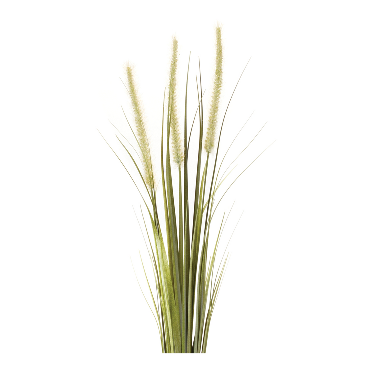 Foxtail Bush (Set of 6) -Ship Only