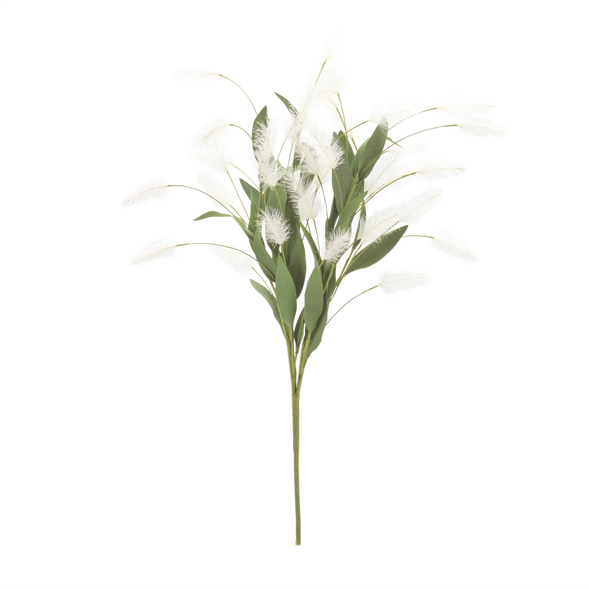 White Plume Bush (Set of 2) -Ship Only