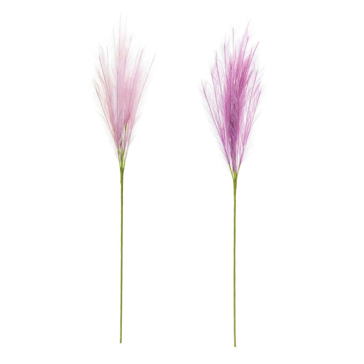 Plume Spray (Set of 6) -Ship Only