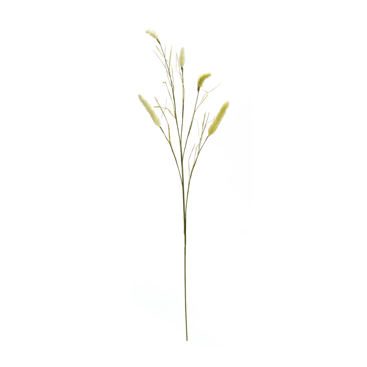 Foxtail Spray (Set of 6) 33.5”H Plastic -Ship Only