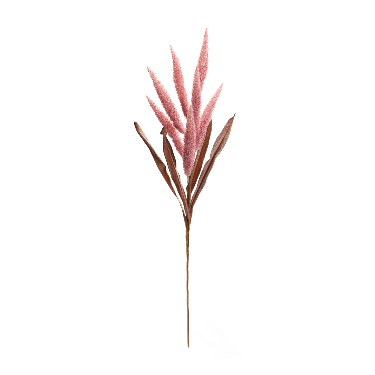 Foxtail Plume Stem (Set of 2) -Ship Only