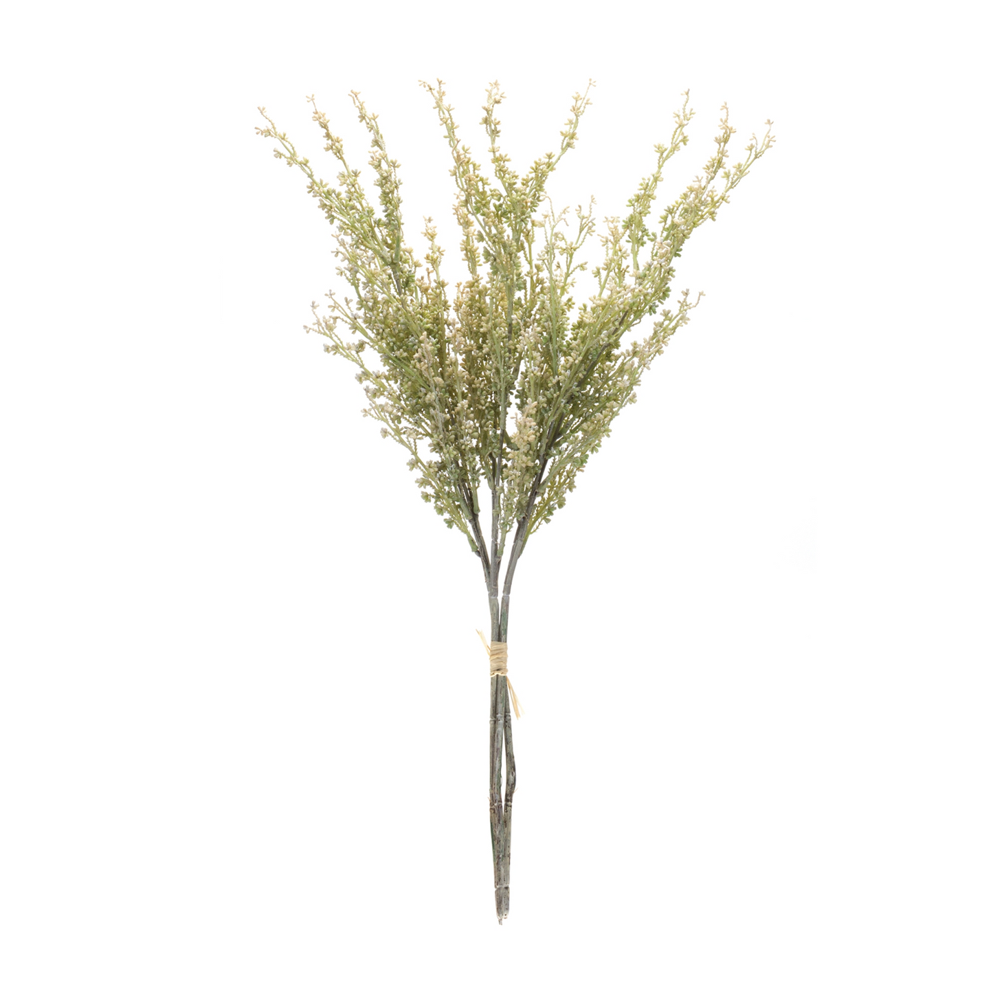 Mini Seed Pod Bundle (Set of 2) 24”H Plastic -Ship Only