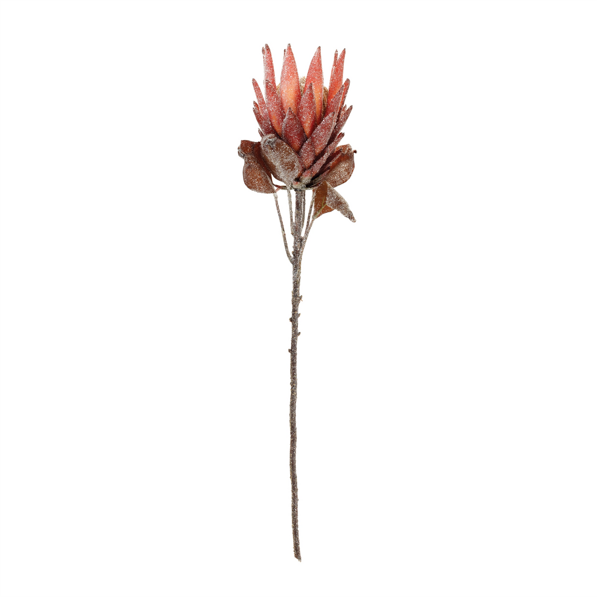 Red Protea Flower Stem (Set of 2) -Ship Only