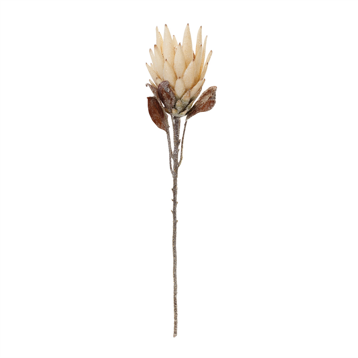 Beige Protea Flower Stem (Set of 2) -Ship Only