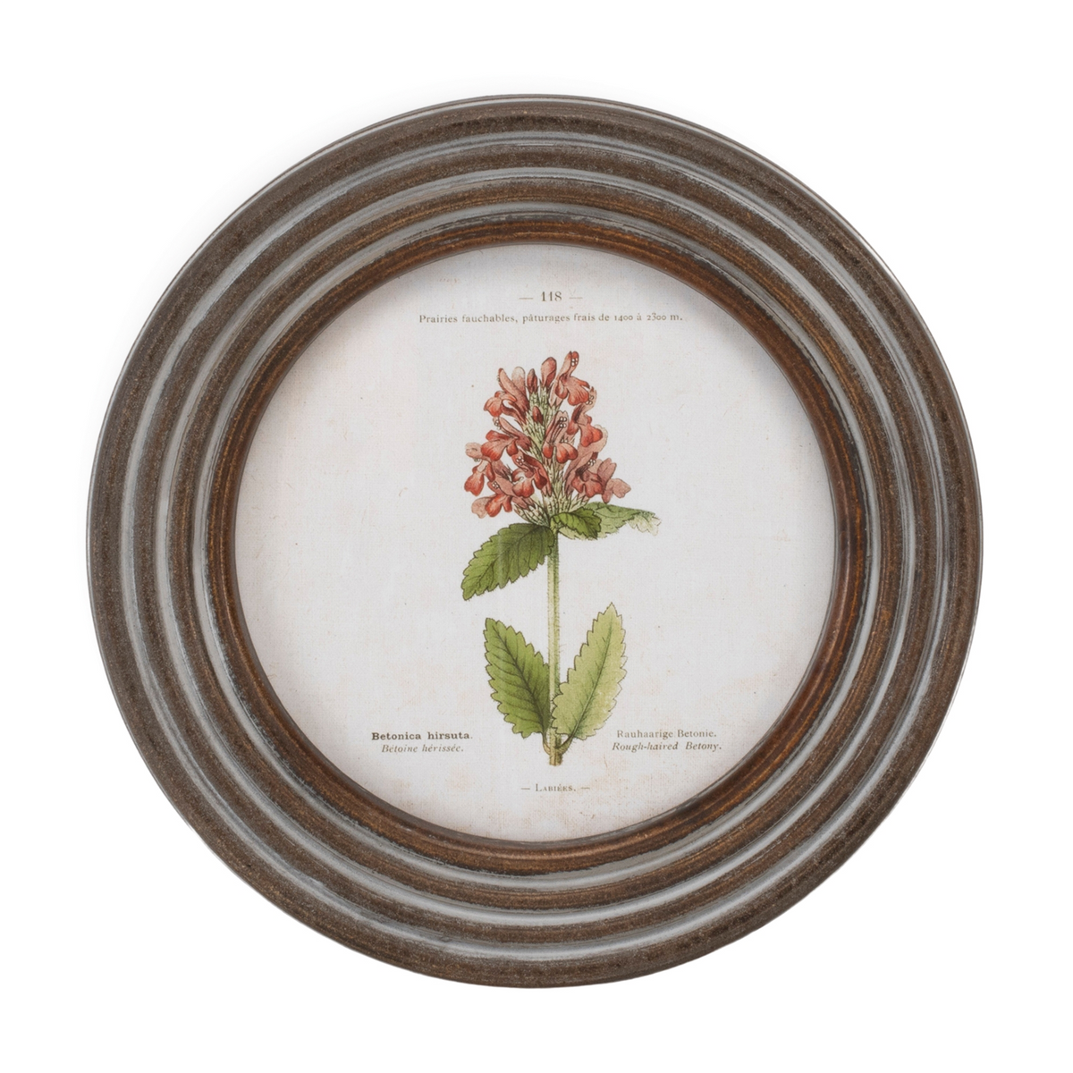 Round Framed Floral Print (Set of 6) -Ship Only