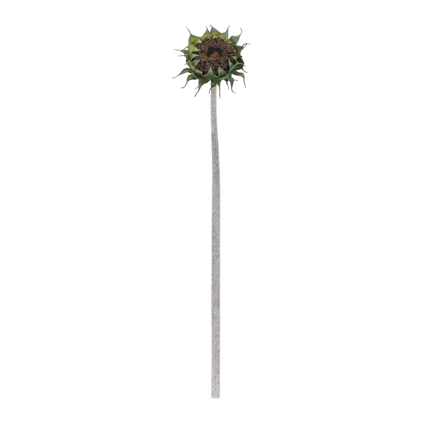 Brown Sunflower Stem (Set of 6) -Ship Only