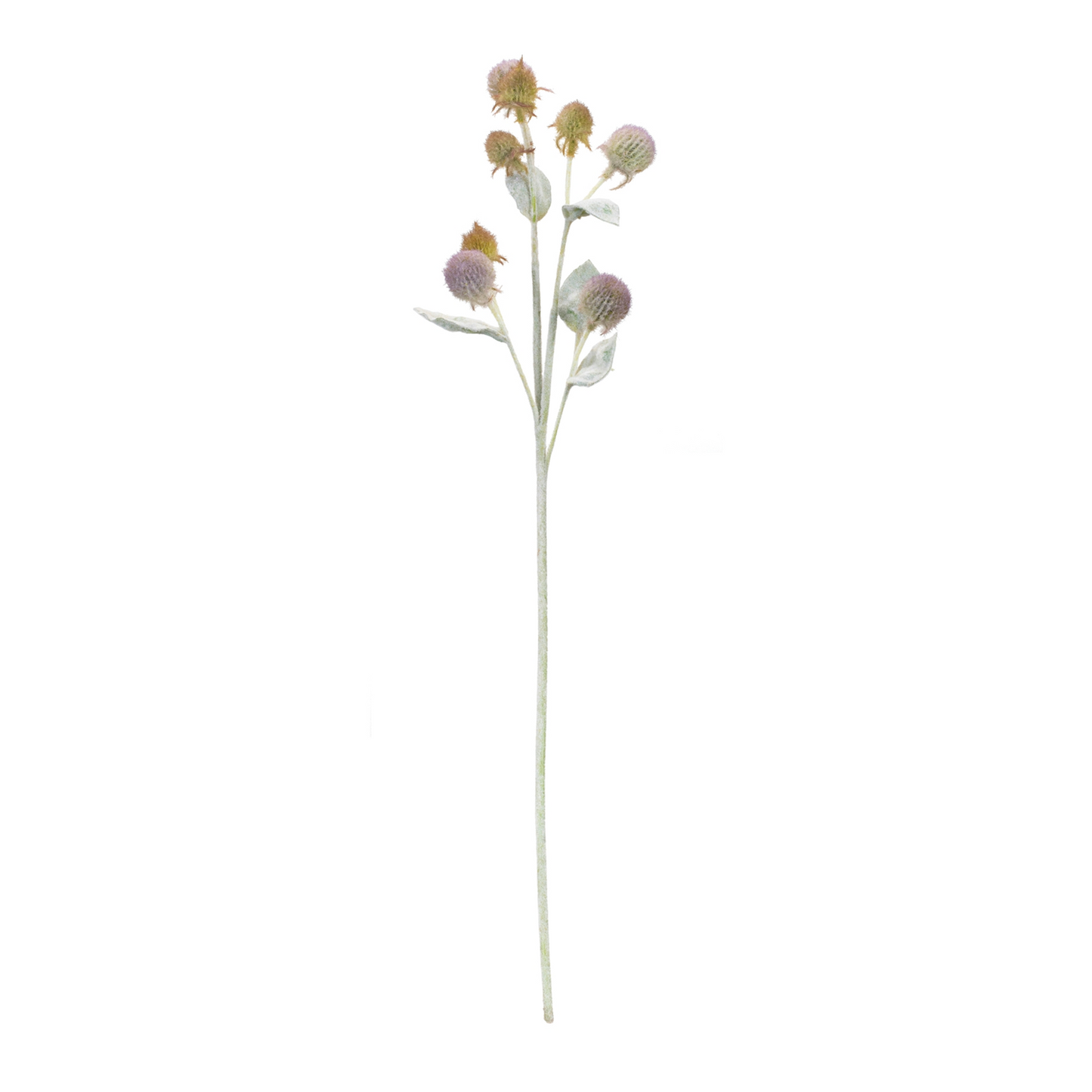 Thistle Foliage Spray (Set of 6) -Ship Only
