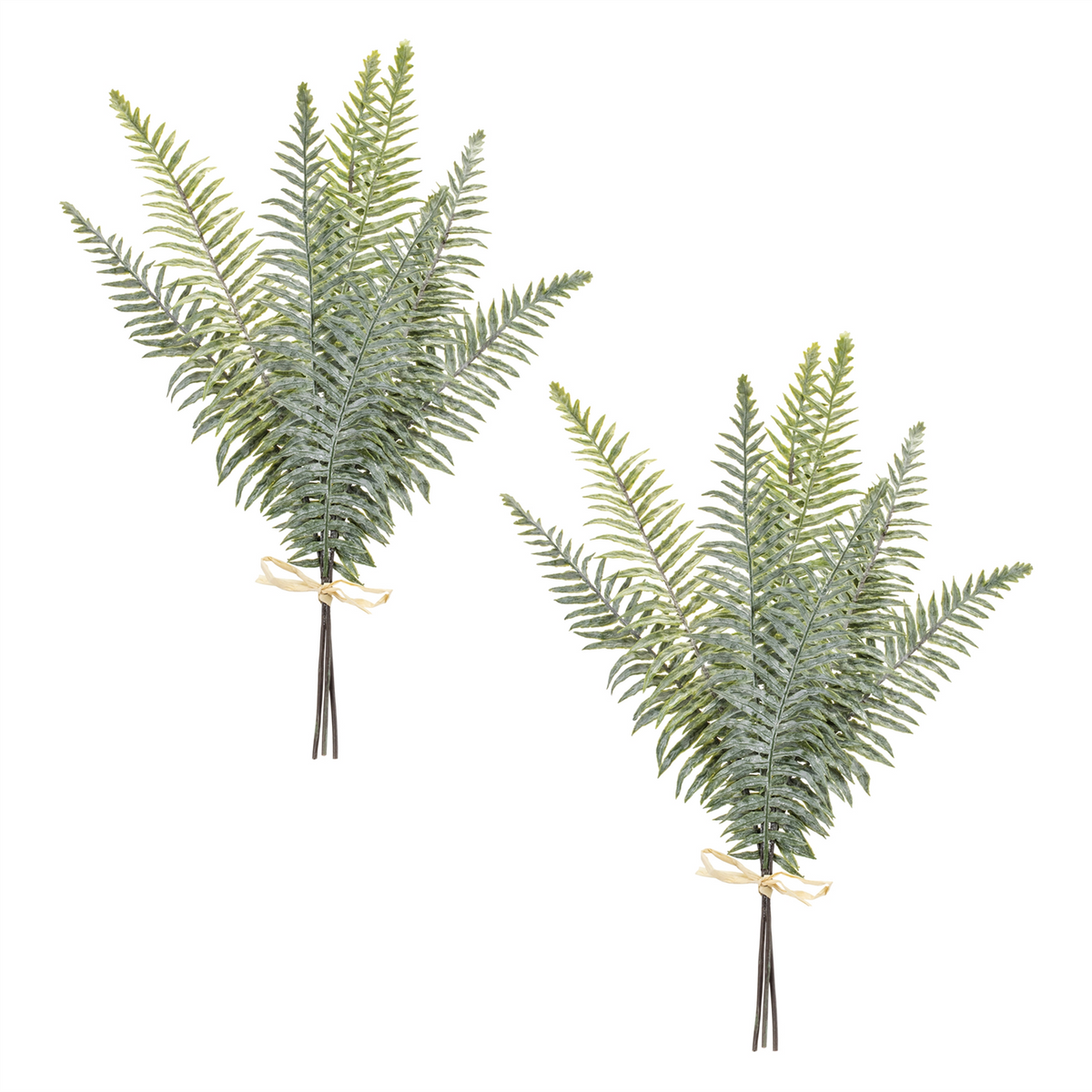 Fern Foliage Bundle (Set of 2) -Ship Only