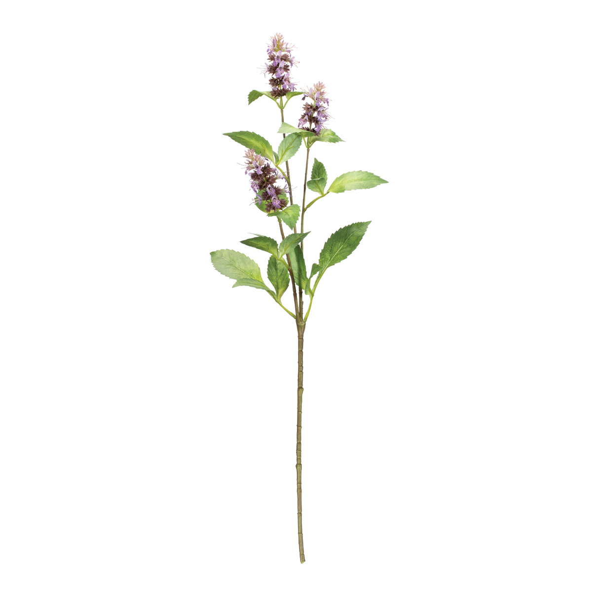 Buddleia Floral Stem (Set of 6) -Ship Only