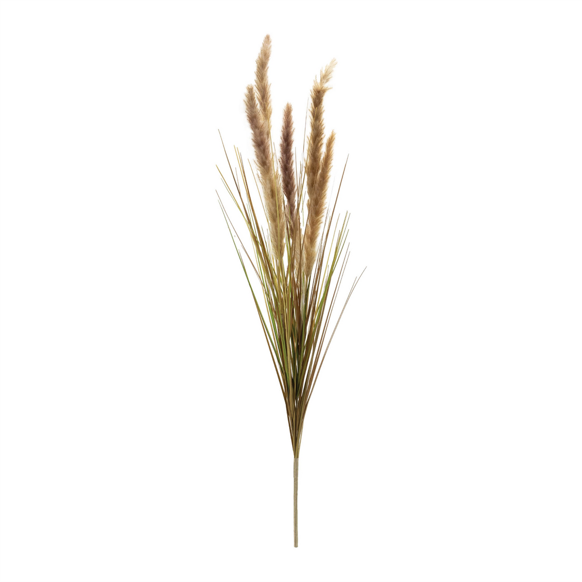 Foxtail Grass Bush (Set of 6) -Ship Only