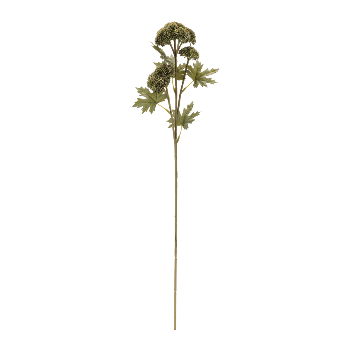 Sedum Succulent Spray (Set of 6) -Ship Only