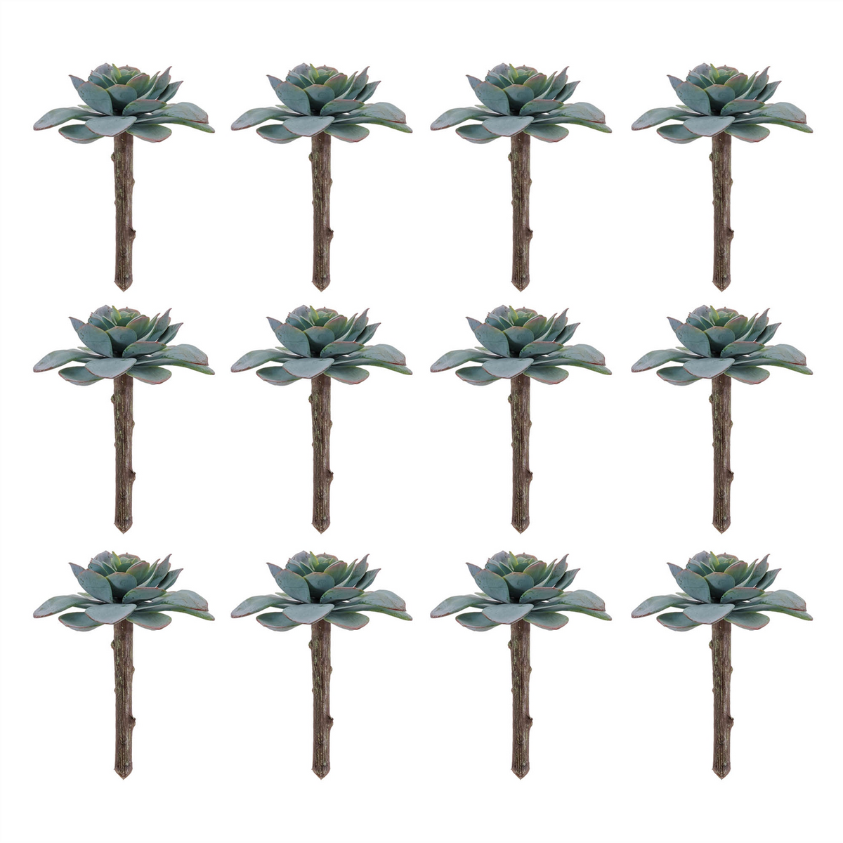 Succulent (Set of 12) 5”H Plastic -Ship Only