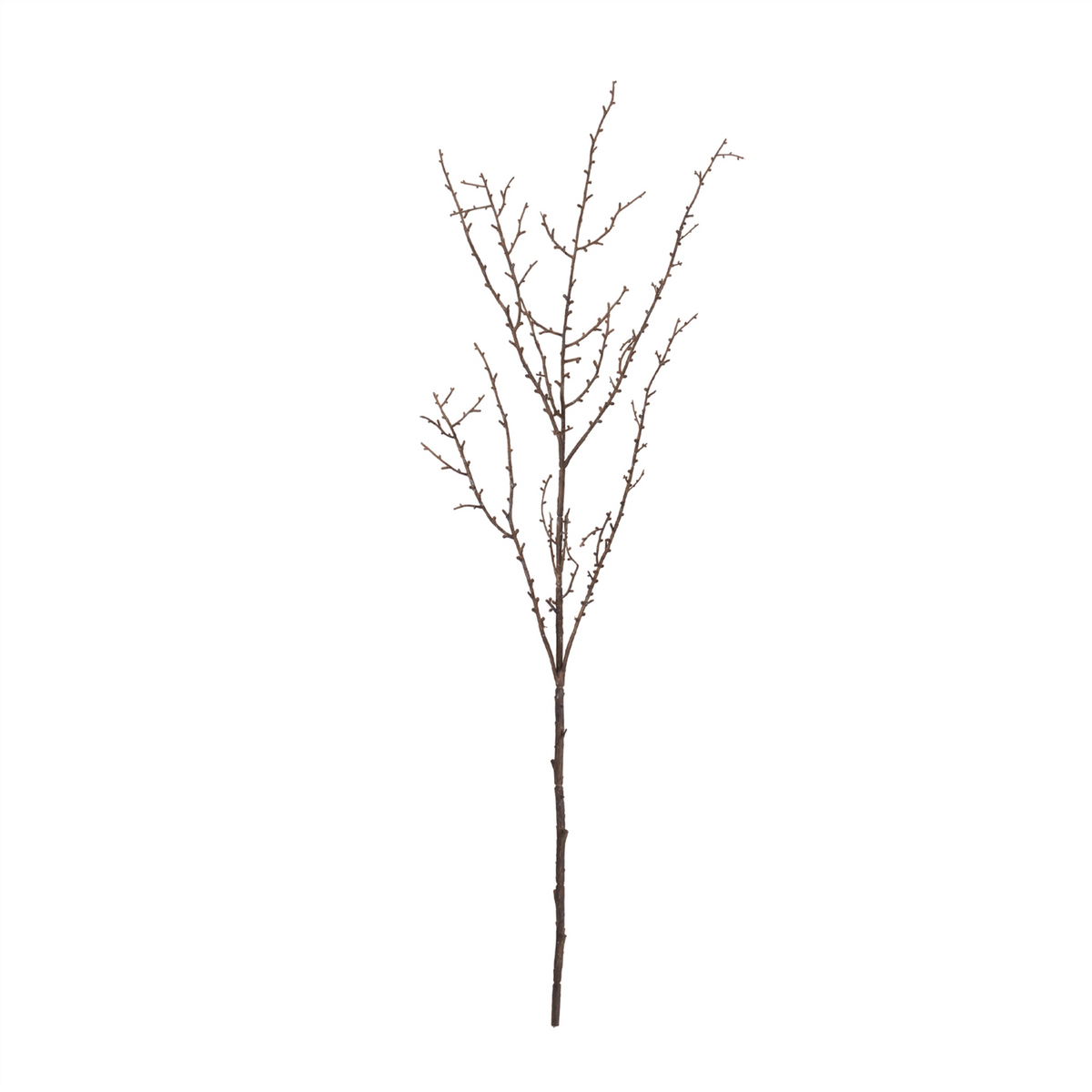 Birch Branch (Set of 6) 37”H Plastic -Ship Only