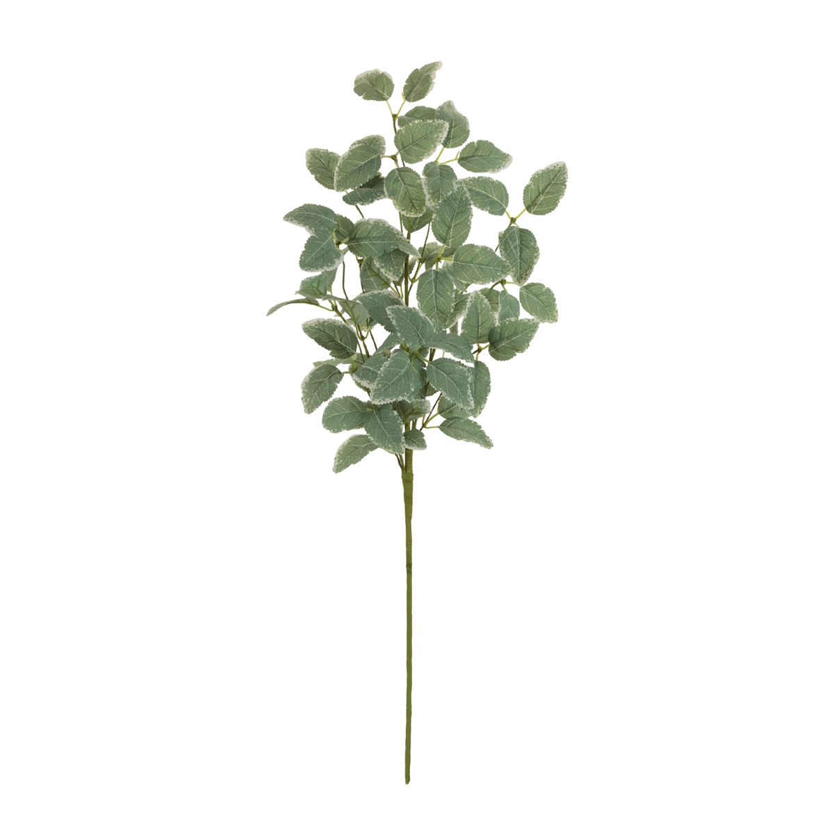 Variegated Foliage Spray (Set of 2) -Ship Only
