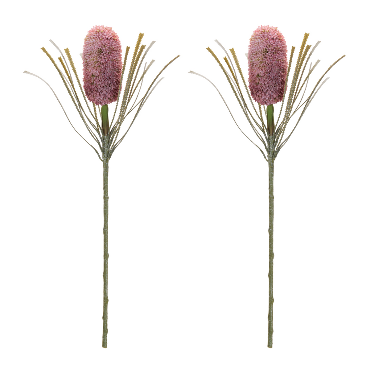 Protea Floral Stem (Set of 2) -Ship Only