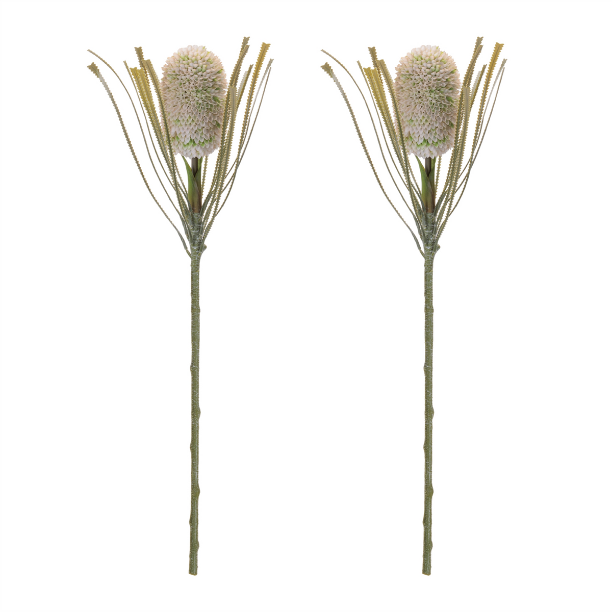 Protea Floral Stem (Set of 2) -Ship Only