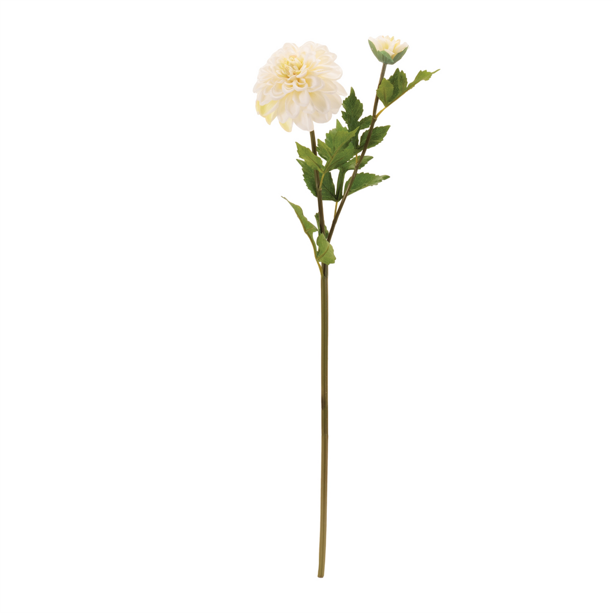 Dahlia Flower Stem (Set of 6) -Ship Only