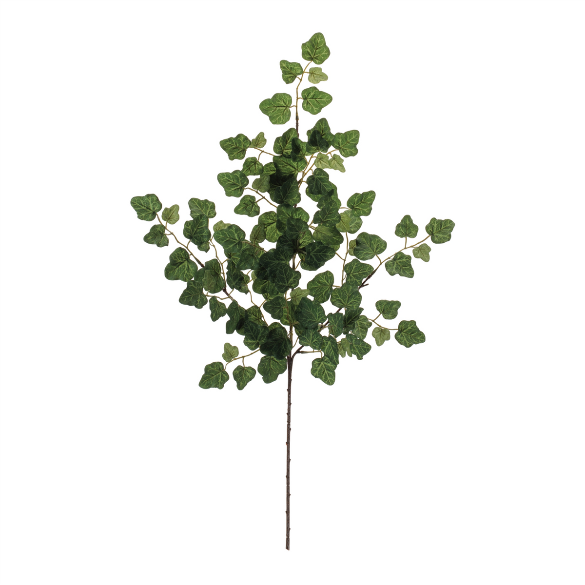 Ivy Foliage Spray (Set of 6) -Ship Only