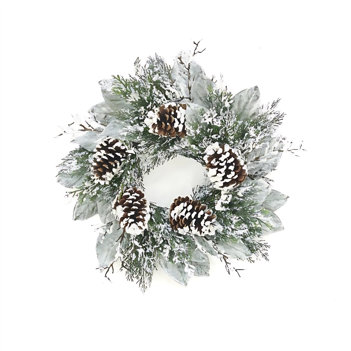 Cedar and Magnolia Leaf Wreath 22"D -Ship Only